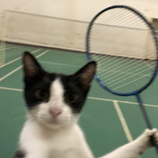 Ken Badminton Game